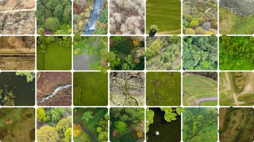 A grid of images displaying different types of land within each tile